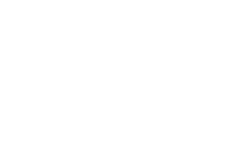 Salon Dolce Vita Logo